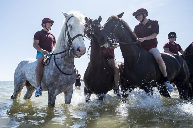 Household Cavalry Mounted Regiment enjoyed a morning riding on the beach and in the sea at Holkham Beach on the North Norfolk coast.