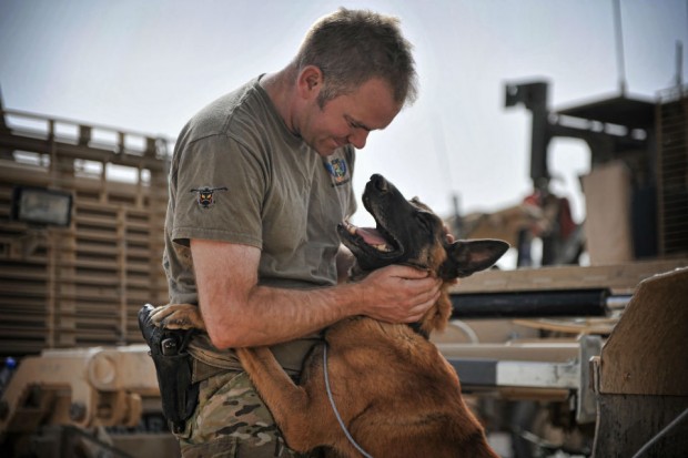 A soldier with 1 Mechanized Brigade is pictured with a Military Working Dog in Helmand Afghanistan.