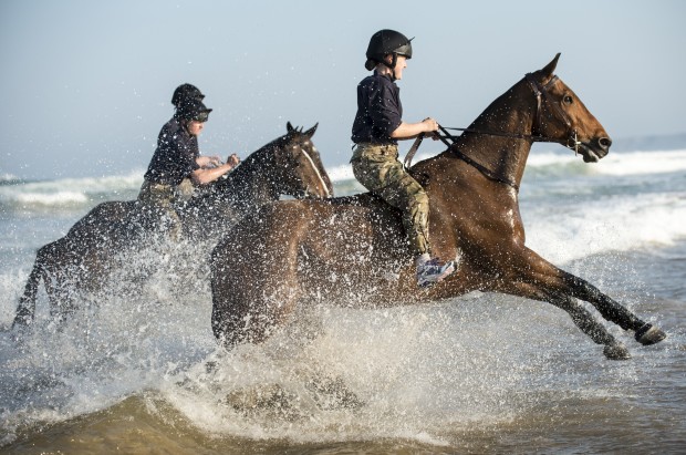 Pictured are horses and riders of Kings Troop Royal Horse Artillery enjoying the sea in Cornwall last Spring.