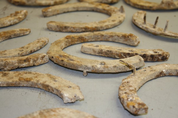 Horseshoes thought to be from a First World War farrier working on the site shoeing military horses