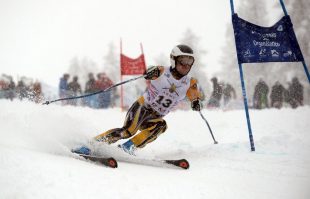 Pictured is a soldier competing in the Giant Slalom Race, one of the events during Exercise Spartan Hike, the regional ski championships run by Force Troops command. Over 550 competitors compete in both Alpine and Nordic disciplines. The Nordic competitors also compete in a patrol race carrying equipment and weapons. Crown Copyright.