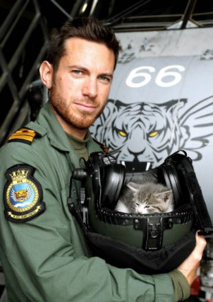 Tigger rescued by Royal Navy pilot after 300-mile bumper car journey. Crown Copyright.