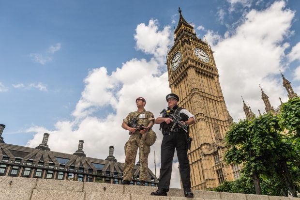 Troops deployed in support of Police on operation Temperer at the Palace of Westminster. Crown Copyright.