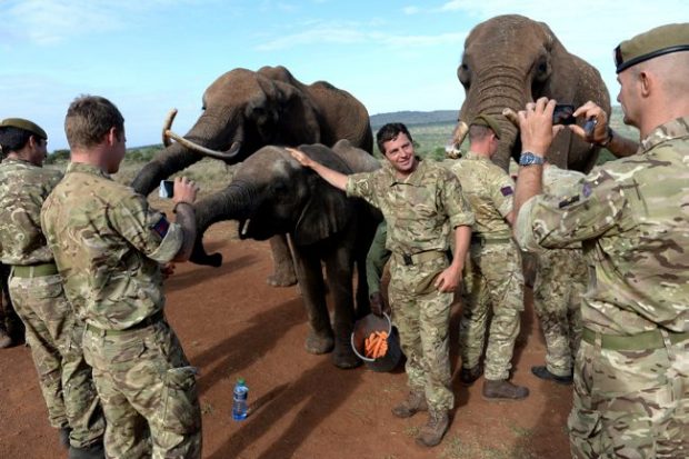 The British Army have a proud history of anti-poaching. Here are Members of the Welsh Guards’ Battlegroup in 2014, training for future operations in Kenya. Sergeant Julian Thomas of the 1st Battalion Welsh Guards from Hounslow led a training task force to help the anti poaching team in the north of the country deal with the growing threats posed by big game poachers. Crown copyright.