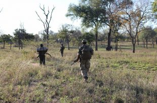 Local park rangers and UK soldiers patrol Nkhotakota and Majete Wildlife Reserves in Malawi to combat poaching.