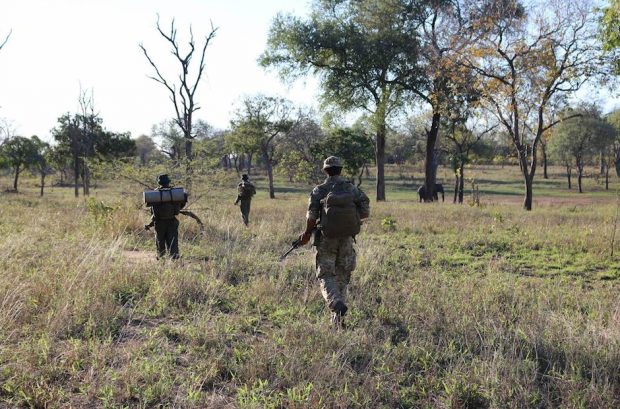 Local park rangers and UK soldiers patrol Nkhotakota and Majete Wildlife Reserves in Malawi to combat poaching.