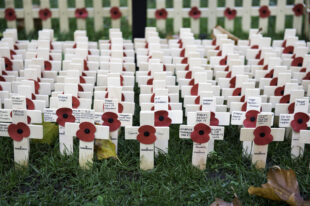 Small wooden crosses with poppies attached in rows