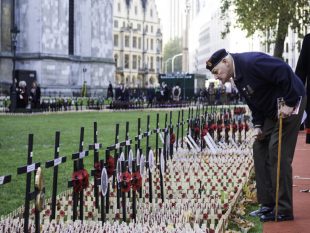 A Veteran from the Royal Army Medical Corps searches for names amongst the crosses. 