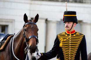 A soldier from the Kings Troop Royal Horse Artillery with a horse