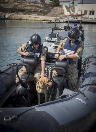British Military personnel on a small boat with a dog