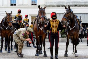 Soldiers make final preparations on horses going on parade