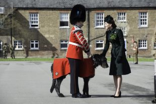 The Regimental Mascot of the Irish Guards, an Irish Wolfhound named Domnhall, is presented to the Duchess of Cambridge.